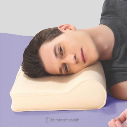 Flamingo Cervical Pillow Oreiller Cervical