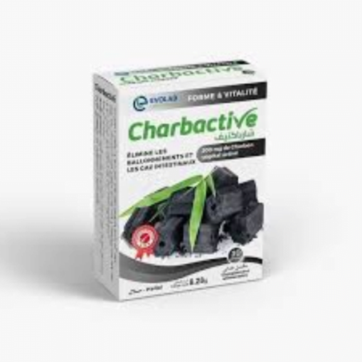 Charbactive Evolab B/30