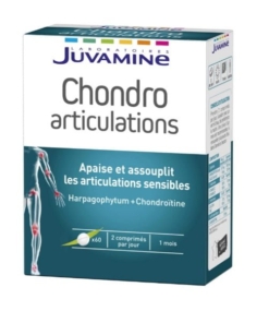 chondro articulation
