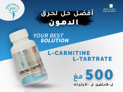 L Carnitine L Tartrate GMH 500mg B60