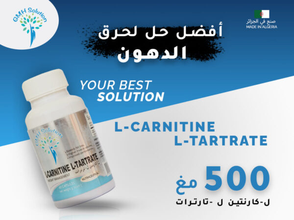L-Carnitine L-Tartrate GMH 500mg B60